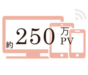 250万PV