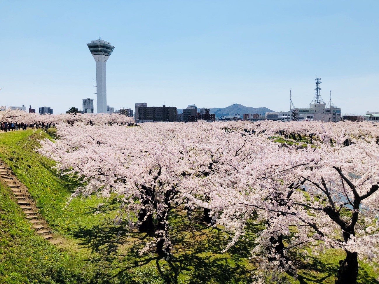 息抜き