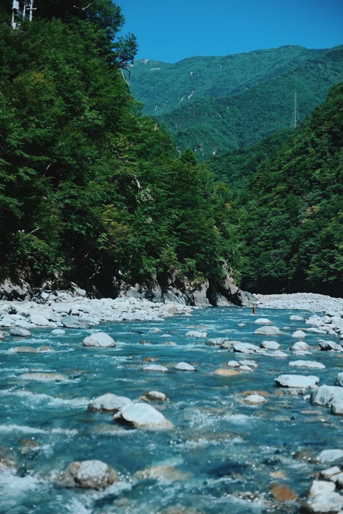 渓流釣り