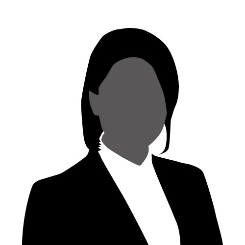 consultant