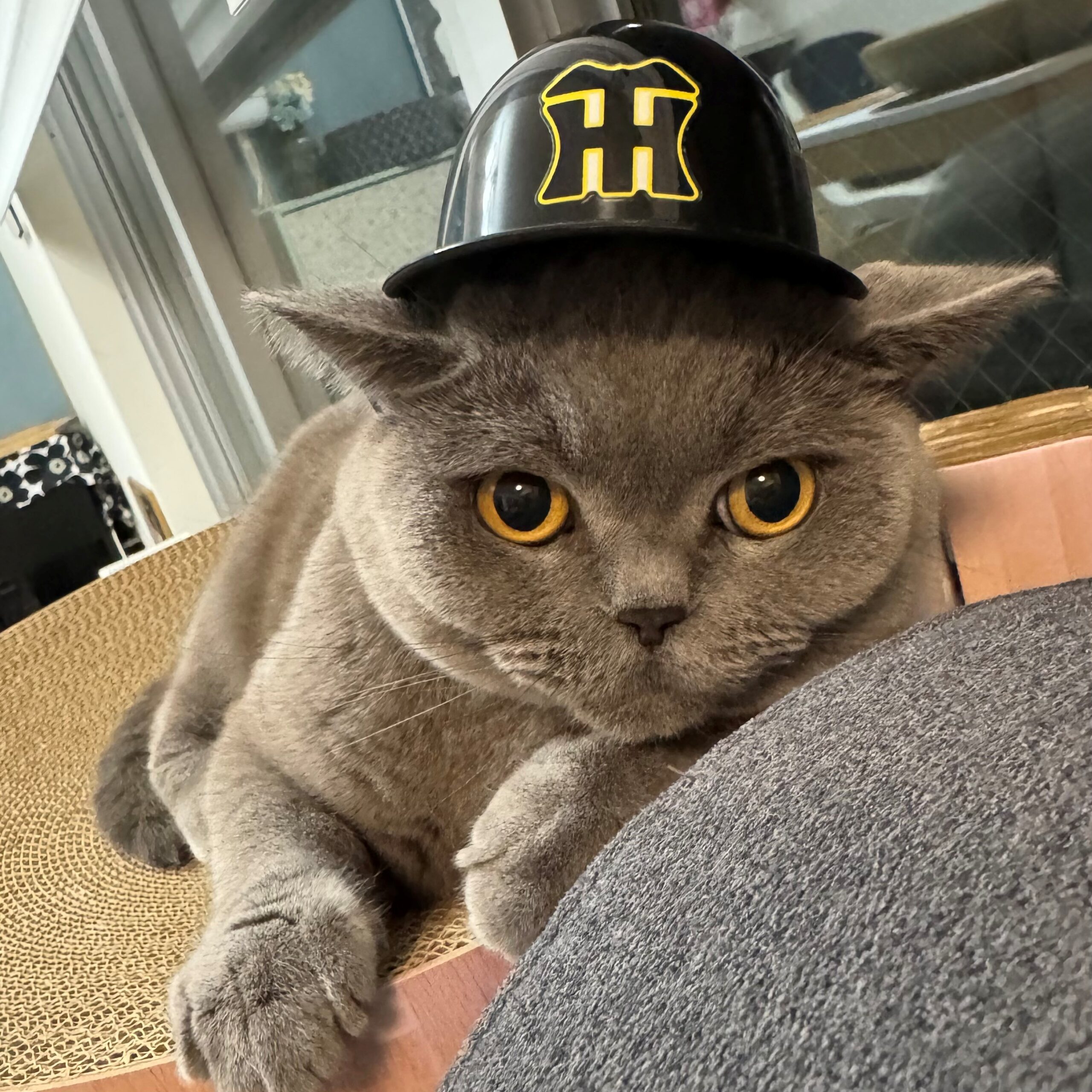 息抜き