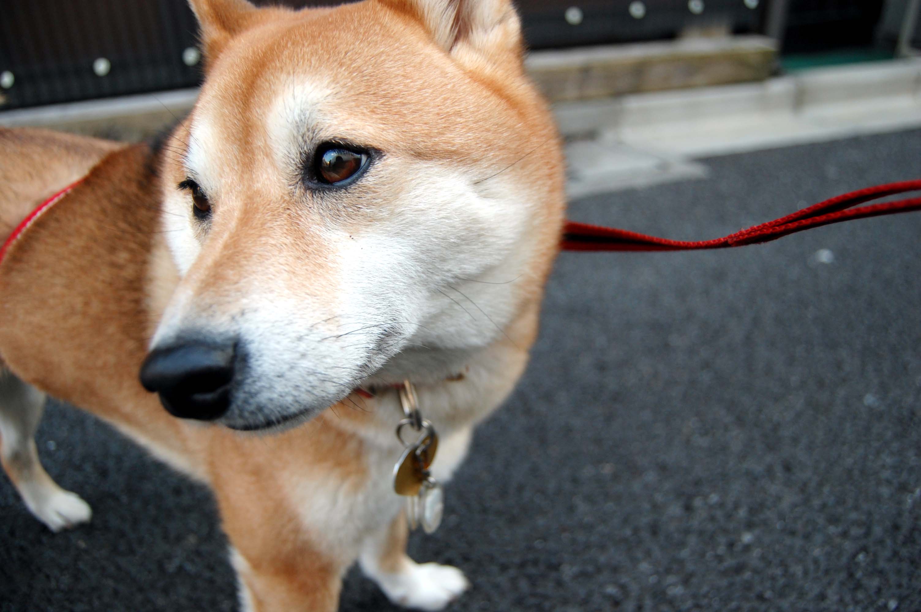 ん?